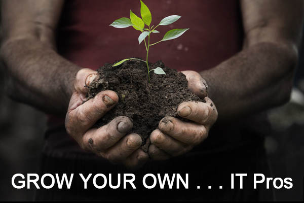Grow Your Own IT Professionals